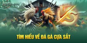 Tìm hiểu về đá gà cựa sắt