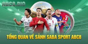Tổng quan về Sảnh Saba Sport ABC8