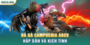 Đá gà Campuchia ABC8 hấp dẫn và kịch tính