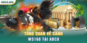 Tổng quan về sảnh WS168 tại ABC8