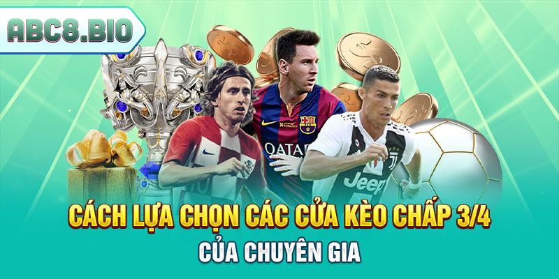 Cách lựa chọn các cửa kèo chấp 3/4 của chuyên gia
