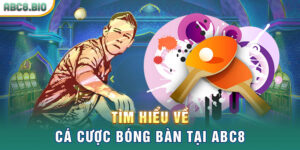 Tìm hiểu về cá cược bóng bàn tại ABC8